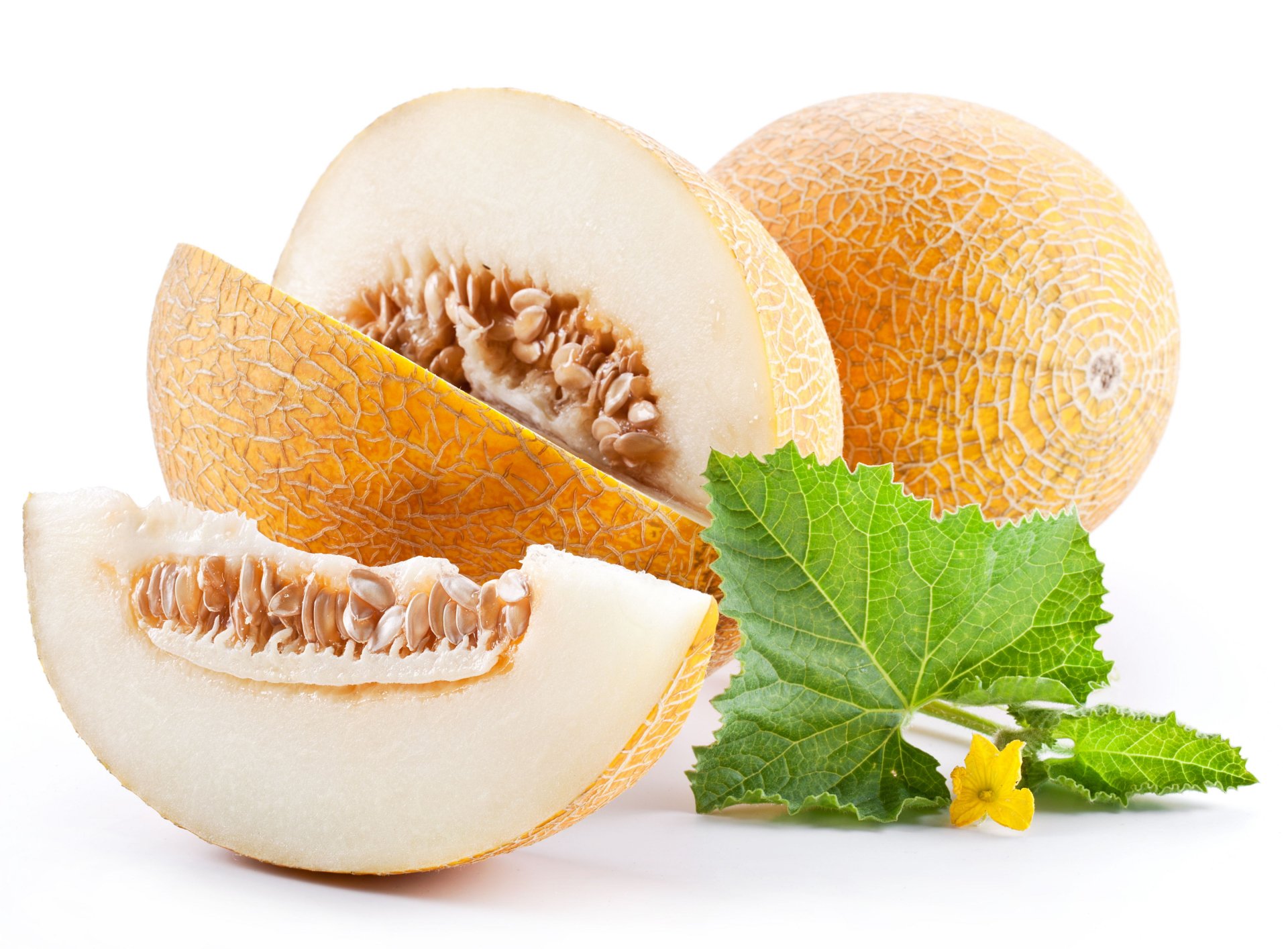 Detail Melon Hd Nomer 11