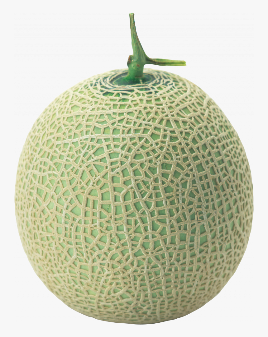 Detail Melon Hd Nomer 21