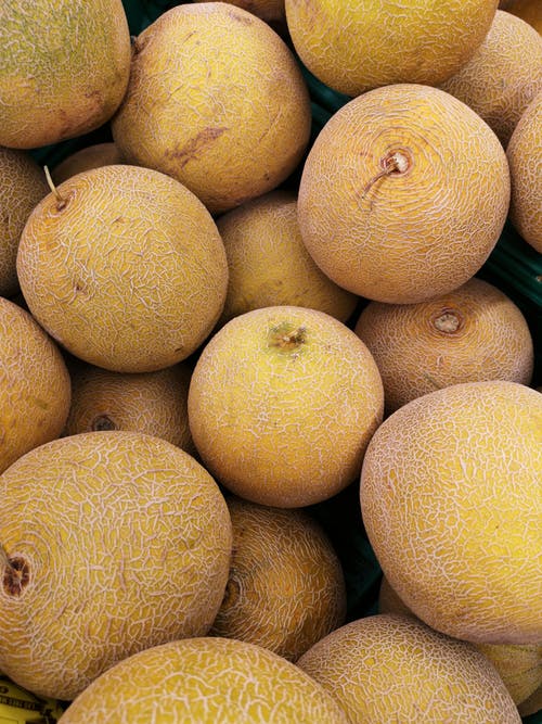 Detail Melon Hd Nomer 23