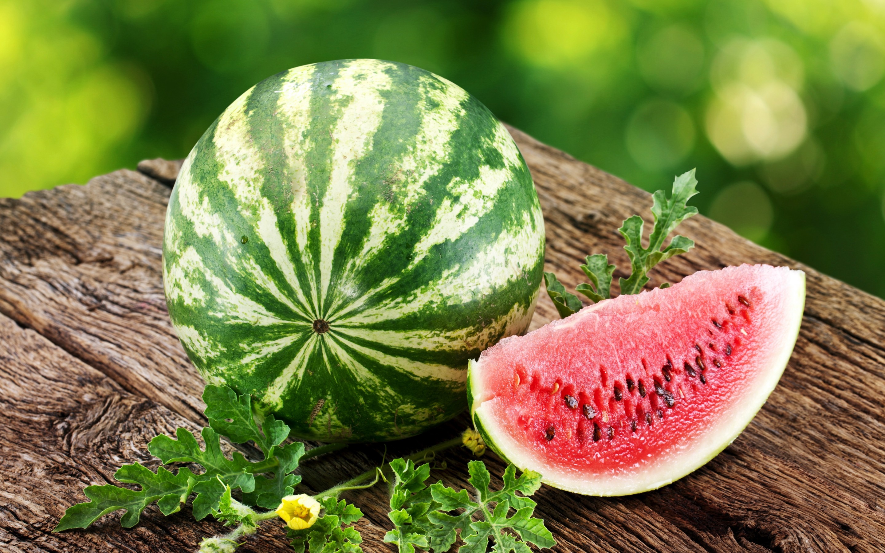 Detail Melon Hd Nomer 27