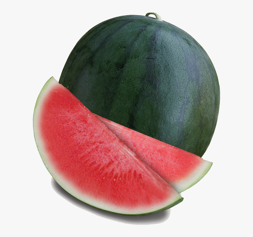 Detail Melon Hd Nomer 34