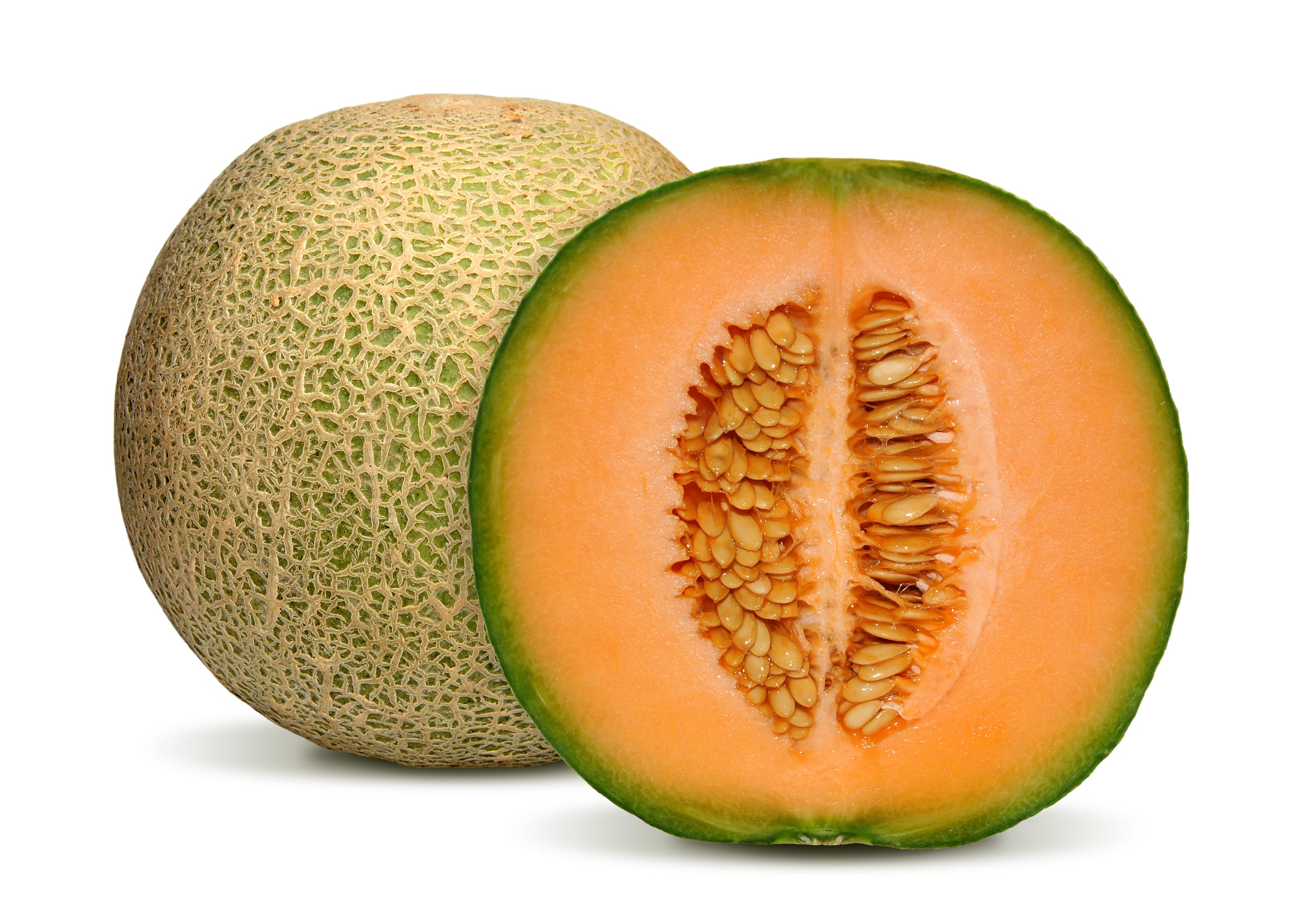 Detail Melon Hd Nomer 4