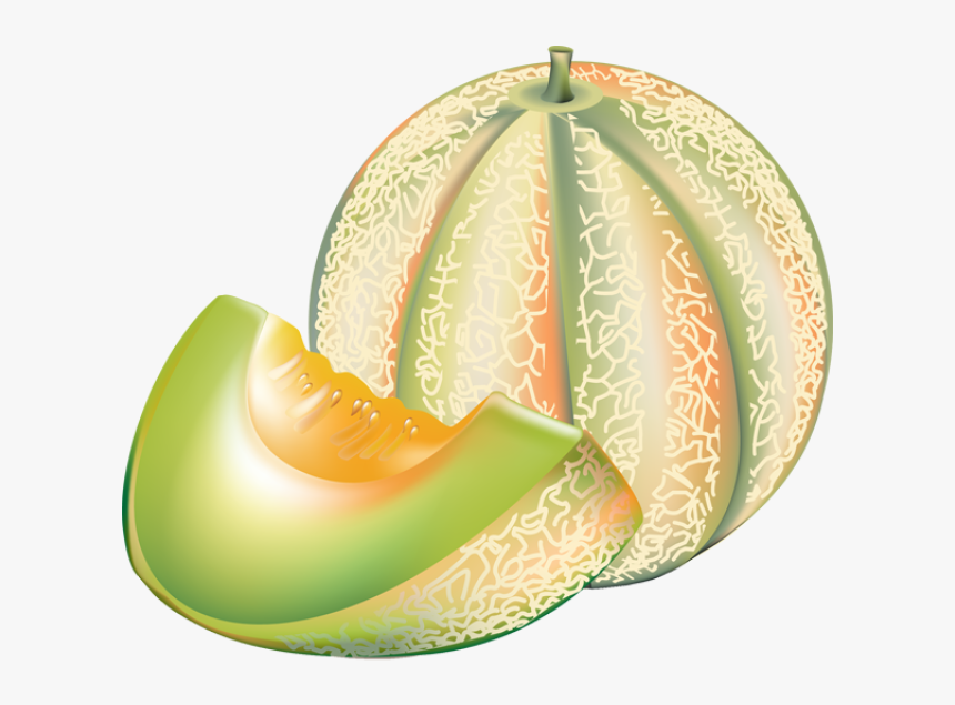 Detail Melon Hd Nomer 35