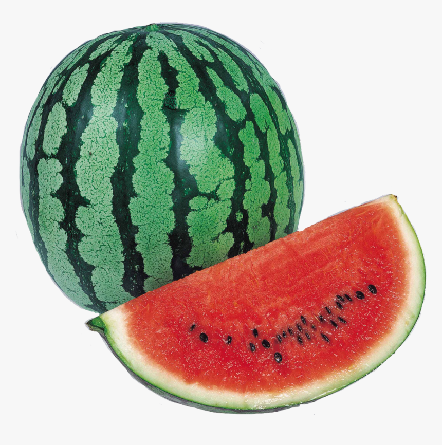 Detail Melon Hd Nomer 37