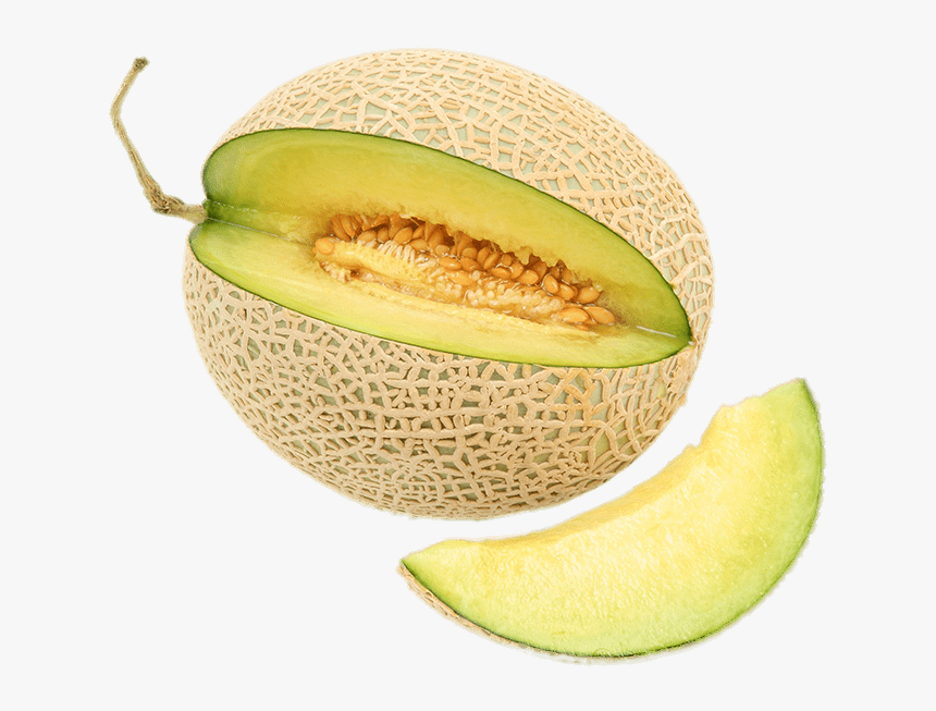 Detail Melon Hd Nomer 38