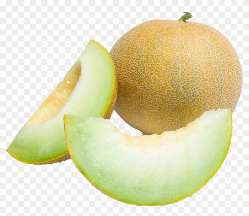 Detail Melon Hd Nomer 41