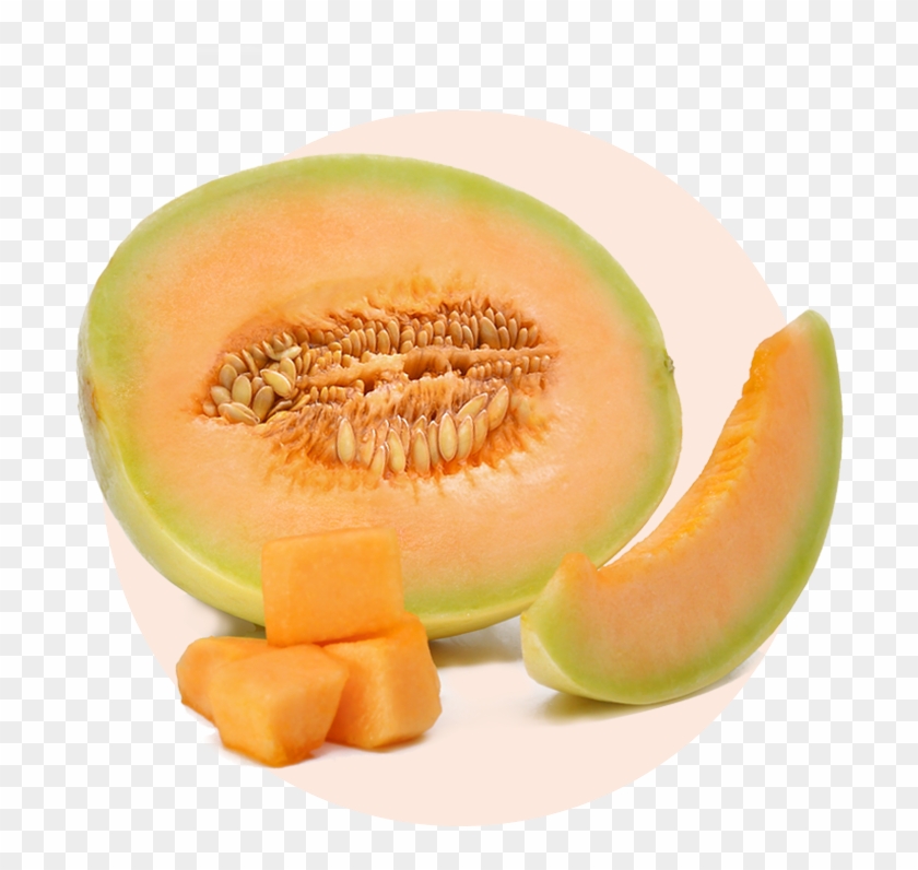 Detail Melon Hd Nomer 44