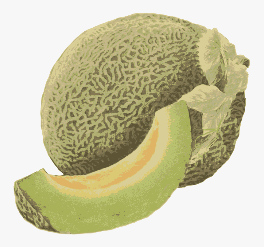 Detail Melon Hd Nomer 53