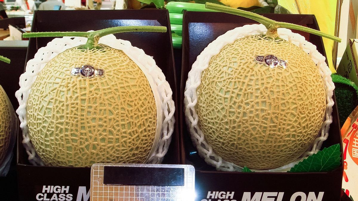 Detail Melon Image Nomer 35