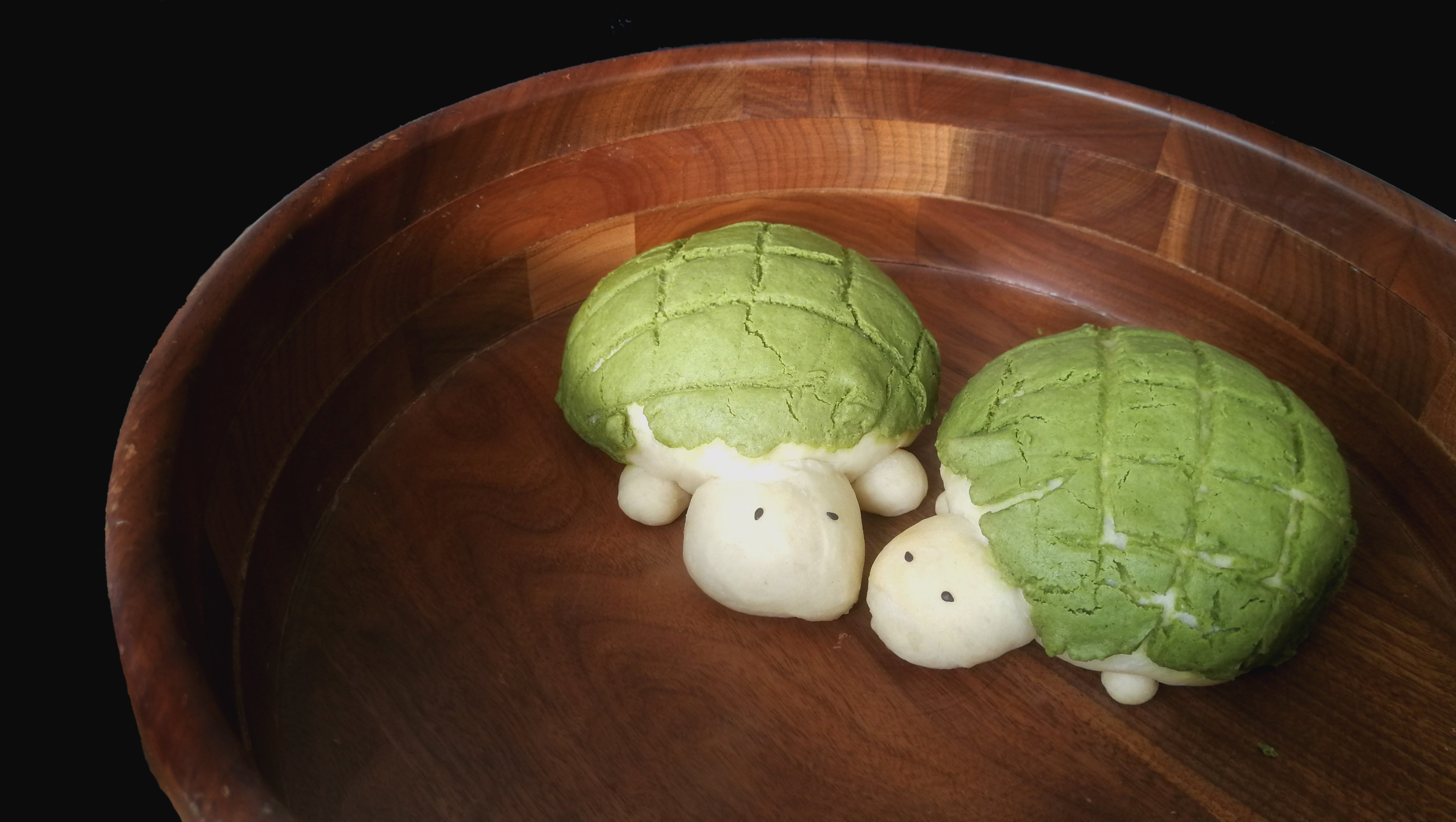 Detail Melon Pan Turtle Nomer 5