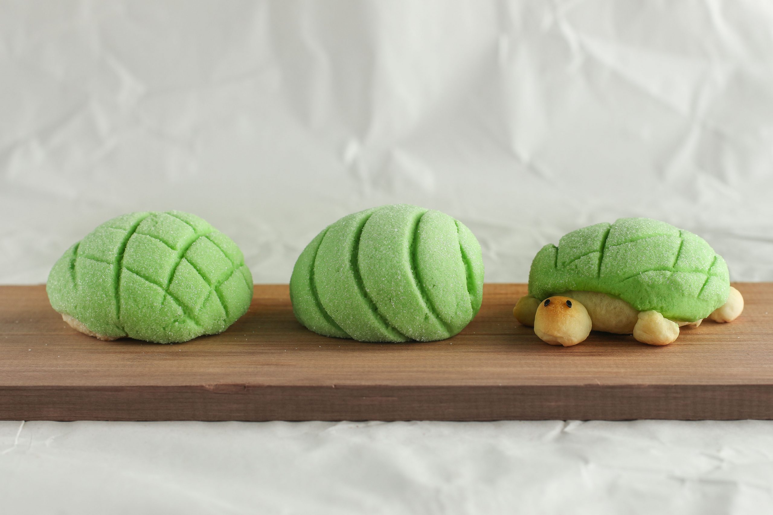 Detail Melon Pan Turtle Nomer 6