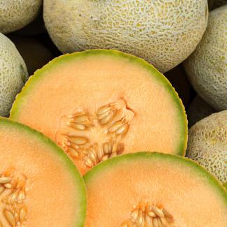 Detail Melon Pics Nomer 12