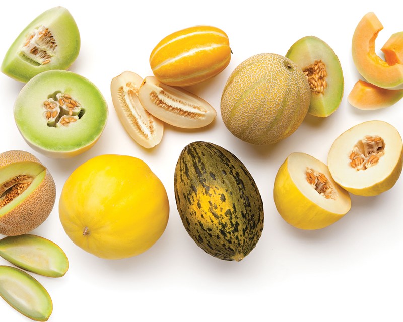 Detail Melon Pics Nomer 21