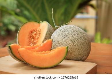 Detail Melon Pics Nomer 4