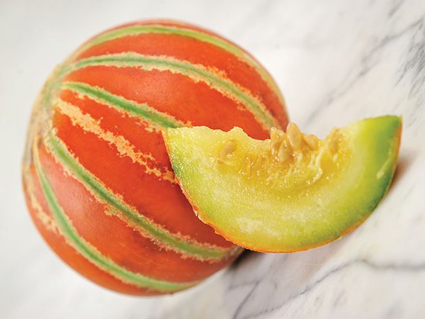 Detail Melon Pics Nomer 30