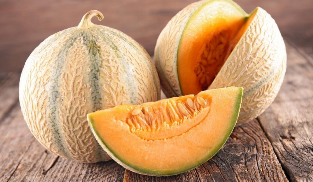 Detail Melon Pics Nomer 31