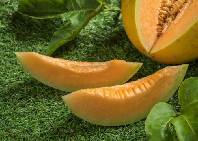 Detail Melon Pics Nomer 38