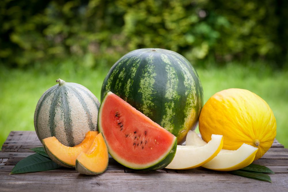 Detail Melon Pics Nomer 40