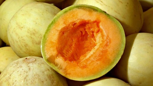 Detail Melon Pics Nomer 48