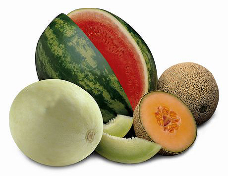 Detail Melon Pics Nomer 8