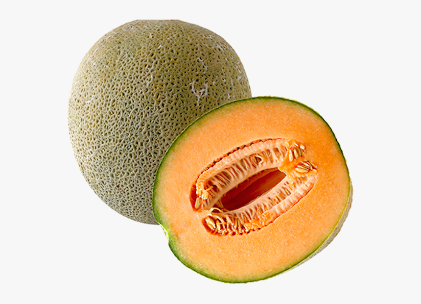 Melon Transparent - KibrisPDR