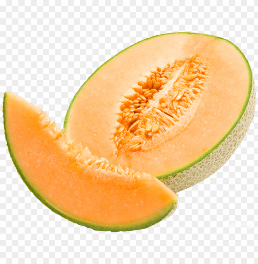 Detail Melon Transparent Nomer 9