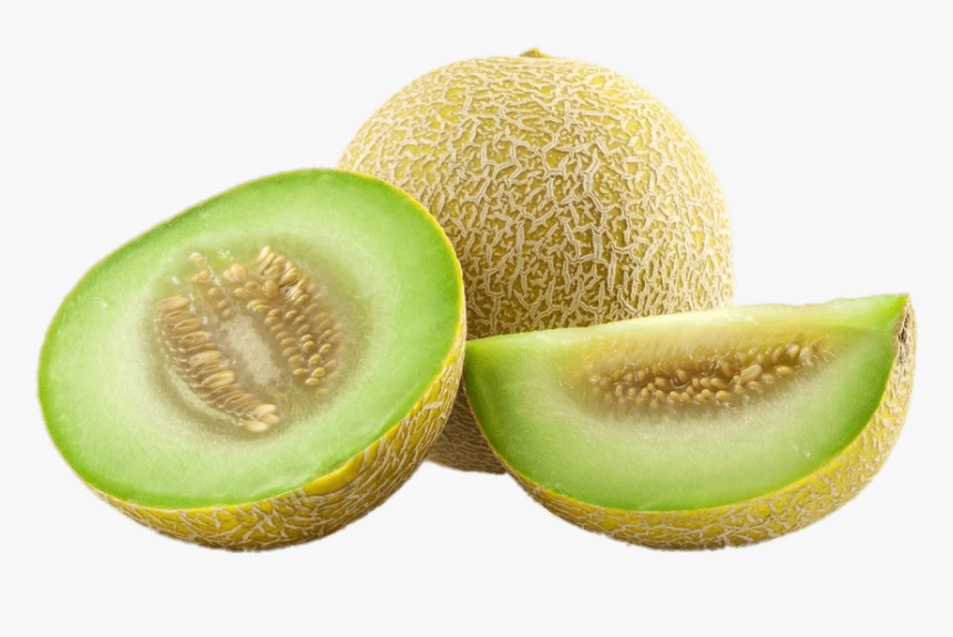 Detail Melon Transparent Nomer 12