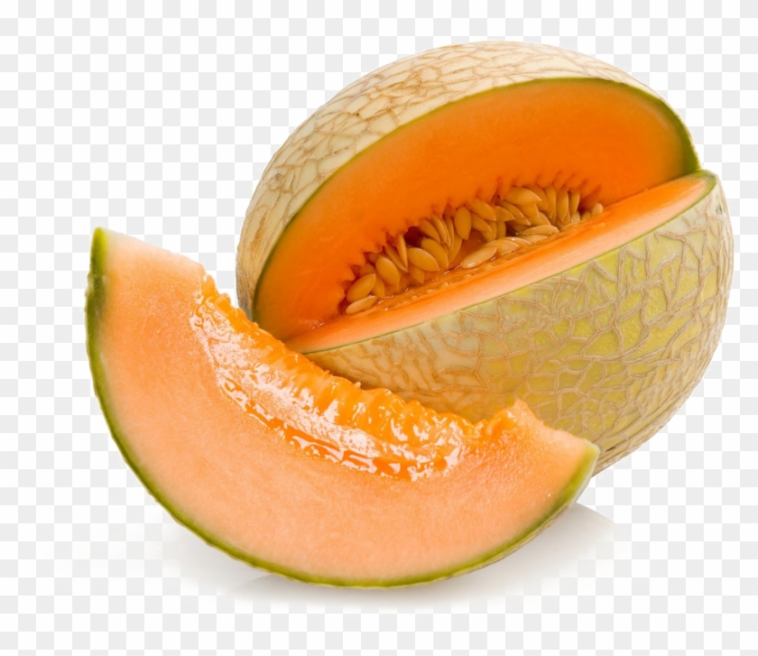 Detail Melon Transparent Nomer 16