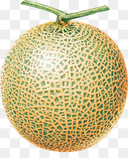 Detail Melon Transparent Nomer 19