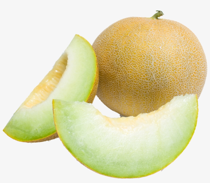 Detail Melon Transparent Nomer 27