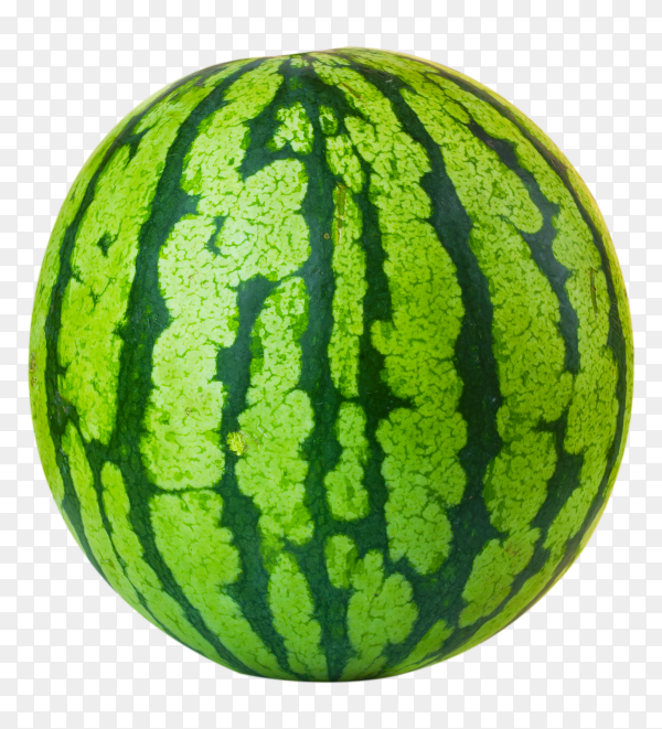 Detail Melon Transparent Nomer 29