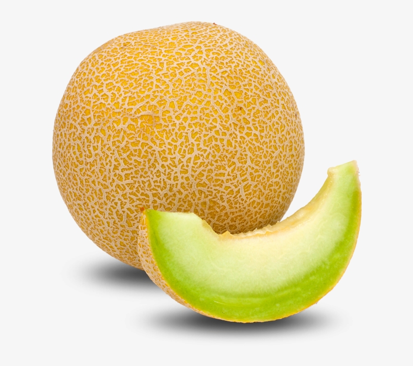 Detail Melon Transparent Nomer 3