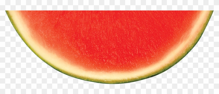 Detail Melon Transparent Nomer 32