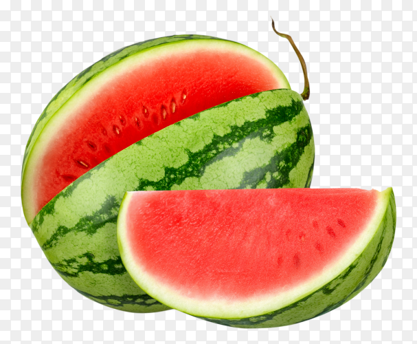 Detail Melon Transparent Nomer 35