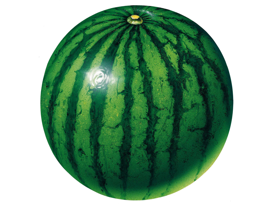 Detail Melon Transparent Nomer 37