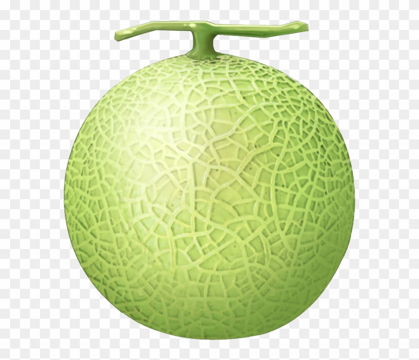 Detail Melon Transparent Nomer 39
