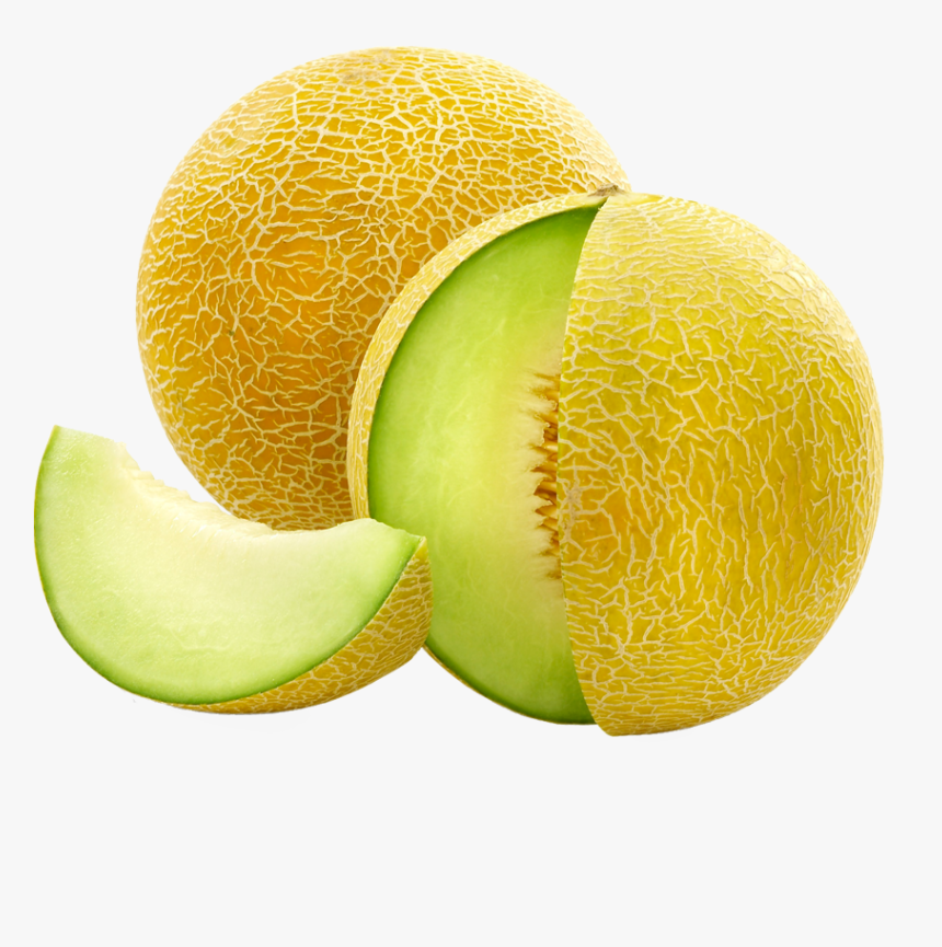 Detail Melon Transparent Nomer 4