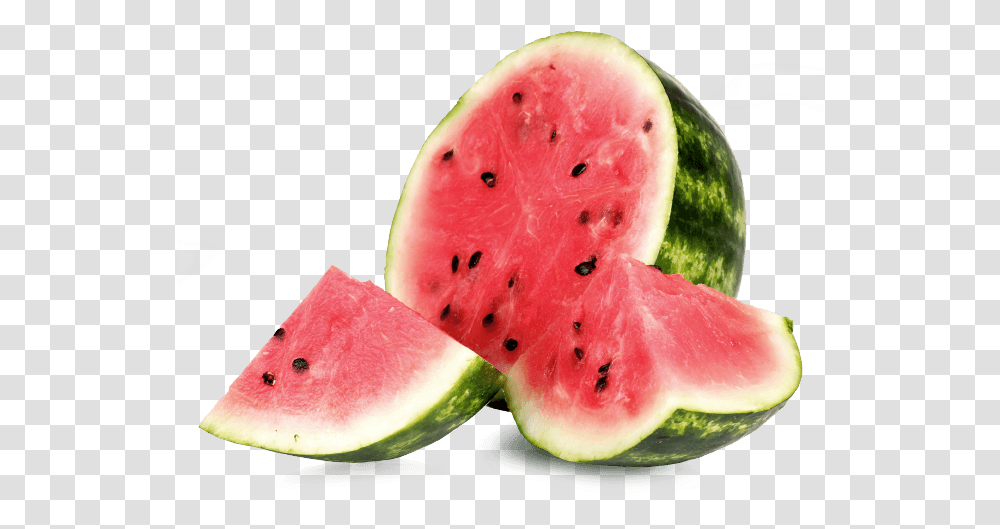 Detail Melon Transparent Nomer 46