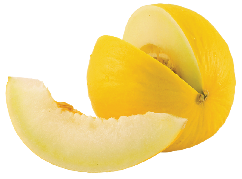 Detail Melon Transparent Nomer 48