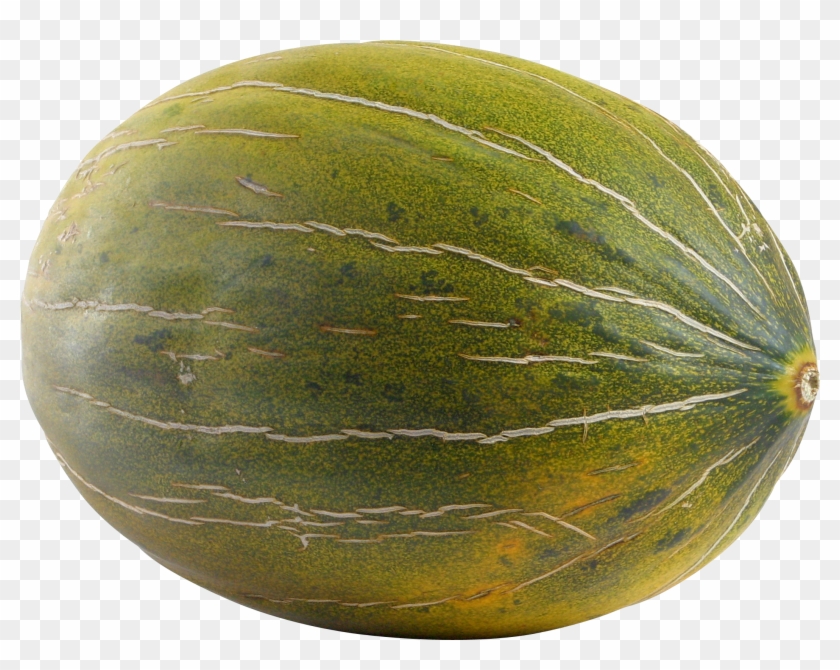 Detail Melon Transparent Nomer 5