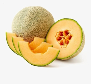 Detail Melon Transparent Nomer 8