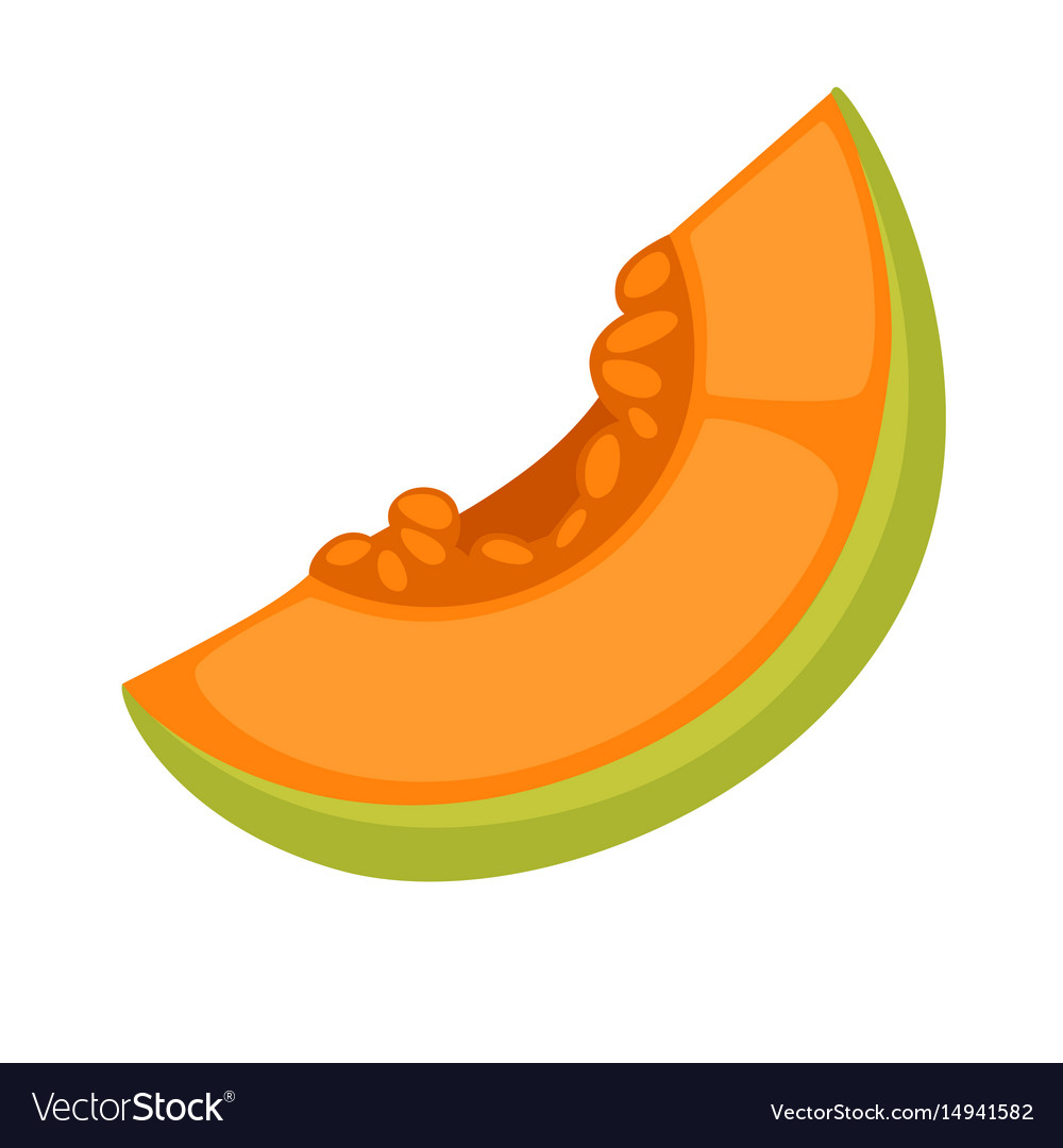 Detail Melon Vector Nomer 2