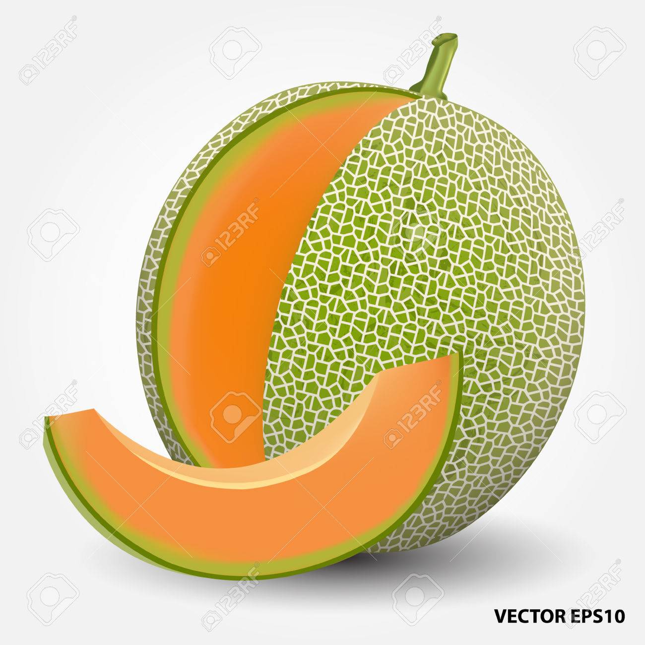 Detail Melon Vector Nomer 15