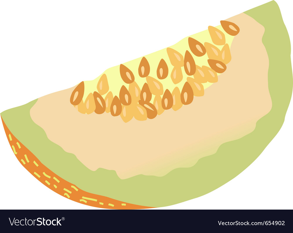 Detail Melon Vector Nomer 20