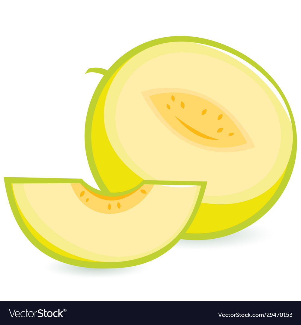 Detail Melon Vector Nomer 3