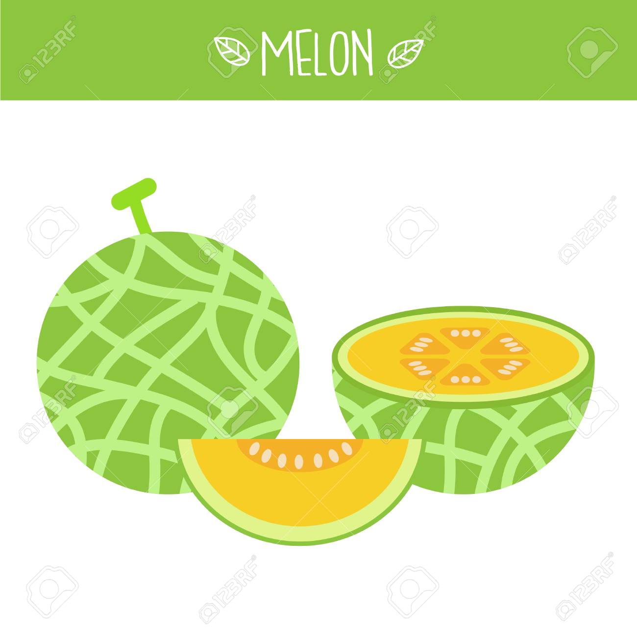 Detail Melon Vector Nomer 21