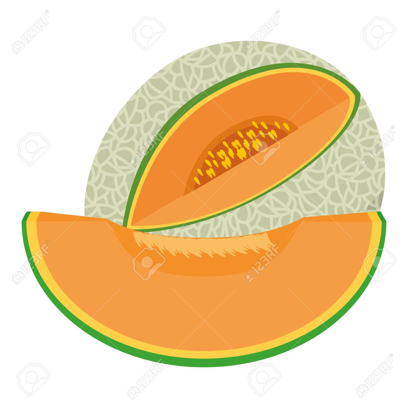 Detail Melon Vector Nomer 23