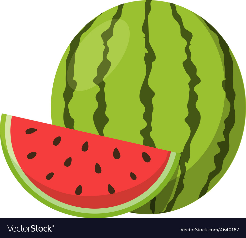 Detail Melon Vector Nomer 26