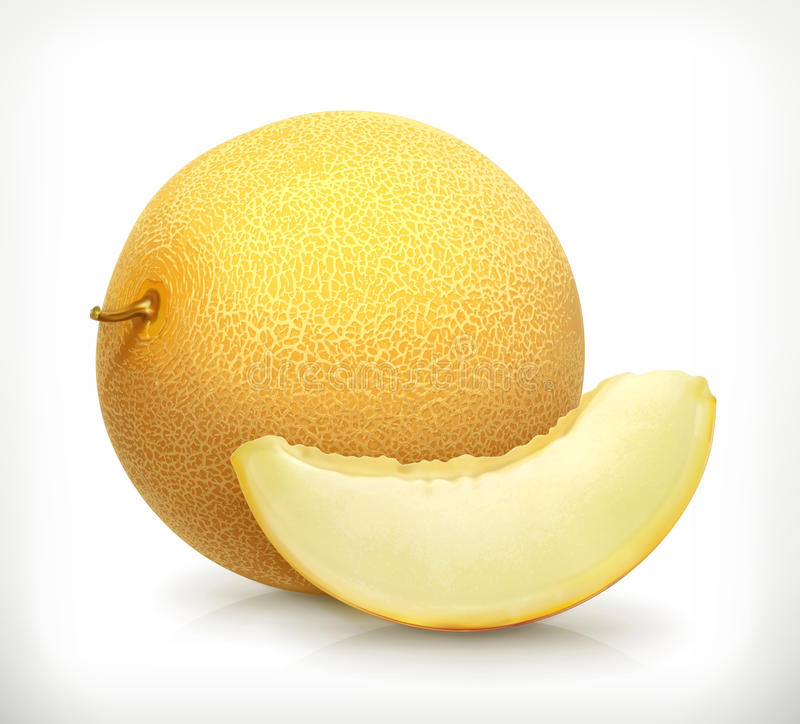 Detail Melon Vector Nomer 28