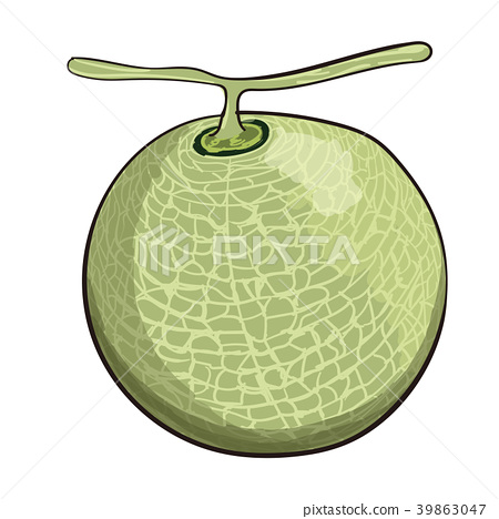 Detail Melon Vector Nomer 31